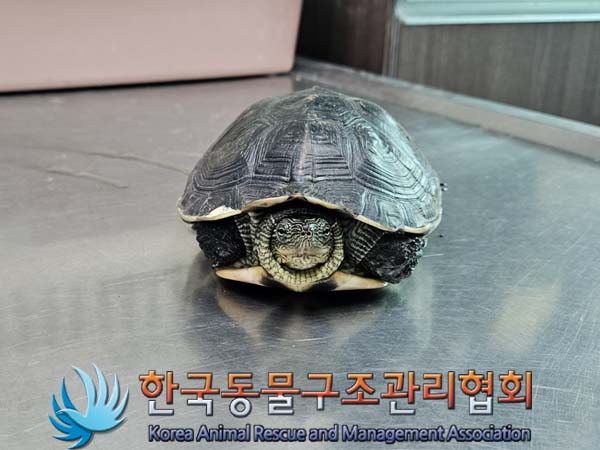 한국동물구조관리협회_411309202400236